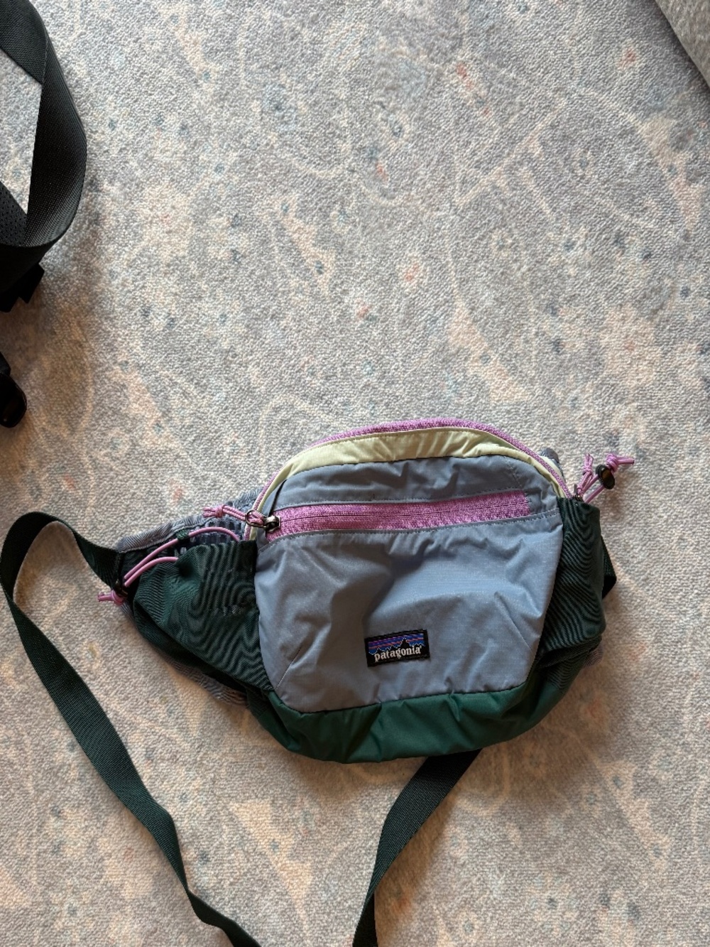 Barely Used Patagonia Fanny Pack